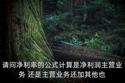 請問凈利率的公式計算是凈利潤主營業(yè)務 還是主營業(yè)務還加其他也