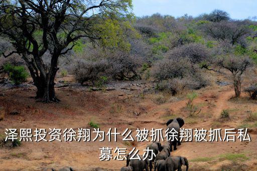 徐翔為什么會(huì)被抓，澤熙投資徐翔為什么被抓徐翔被抓后私募怎么辦