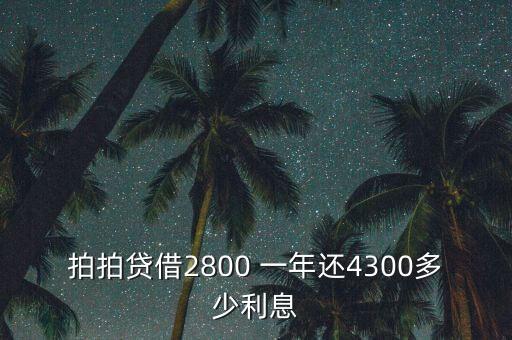 什么是拍拍貸，拍拍貸借2800 一年還4300多少利息