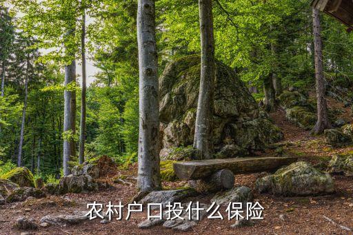 農(nóng)村買(mǎi)的保險(xiǎn)是什么保險(xiǎn)，農(nóng)民需要買(mǎi)什么保險(xiǎn)