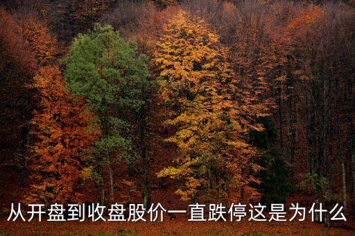 為什么開盤就跌停，從開盤到收盤股價(jià)一直跌停這是為什么