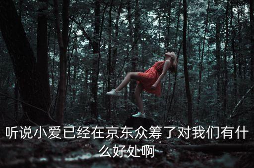 京東jimi機器人有什么作用，jimi 是什么意思