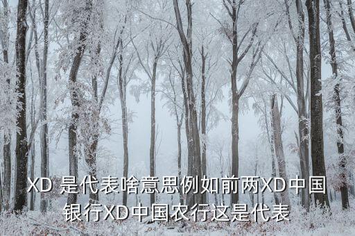 農(nóng)行中證代表什么，XD 是代表啥意思例如前兩XD中國銀行XD中國農(nóng)行這是代表