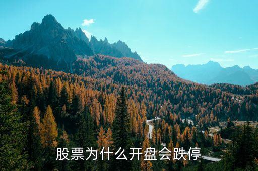 股票為什么開(kāi)盤會(huì)跌停