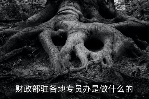 財專辦是什么，財政部駐各地專員辦是做什么的