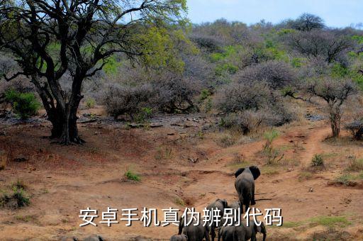 三星夢(mèng)想課堂是什么，權(quán)相宇的檔案資料