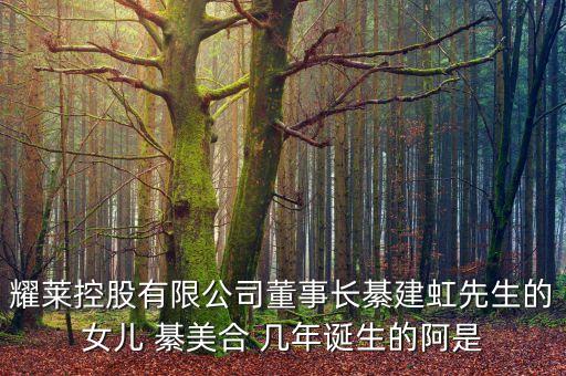 耀萊集團(tuán)董事長姓什么，武漢耀萊成龍國際影城老板是成龍嗎