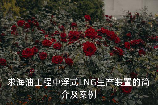 什么是浮式lng項(xiàng)目，什么是浮式LNG