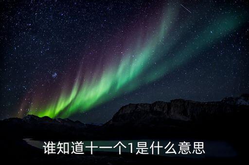 銀行說的逾期10個1是什么意思，誰知道十一個1是什么意思