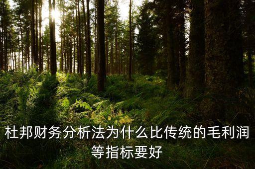 為什么要比較毛利率，杜邦財務分析法為什么比傳統(tǒng)的毛利潤等指標要好