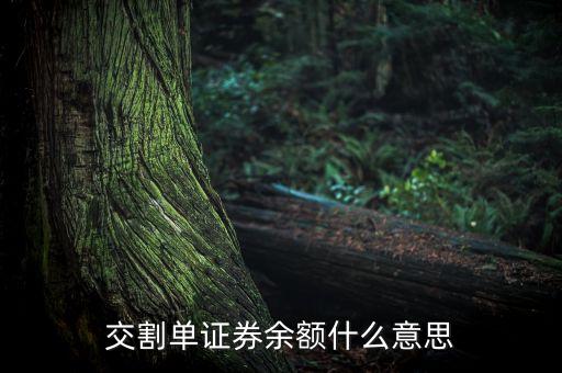 交割單中的剩余金額是什么，中原證券交割單里的本次金額什么意思