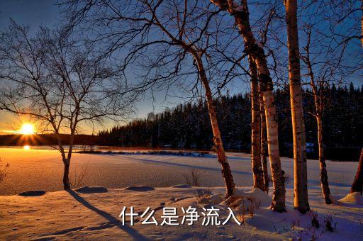 中單凈流入是什么意思，為什么中單凈流入與小單凈流入之和等于主力凈流入