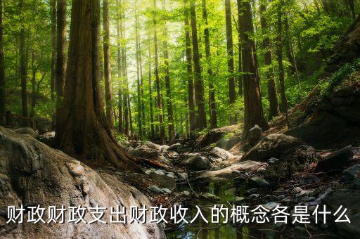 什么是財政支出，財政支農(nóng)支出的含義是什么