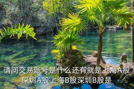 股東賬號是什么，請問交易賬號是什么還有就是上海A股深圳A股上海B股深圳B股是