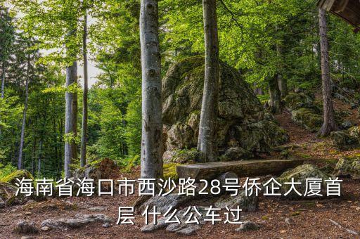 海南公務車什么號段，誰知道海南41 11月20日開的什么號碼