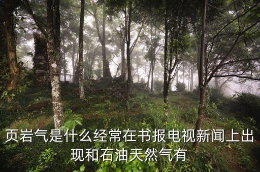 頁巖氣和天然氣有什么不同，頁巖氣與煤層氣的區(qū)別