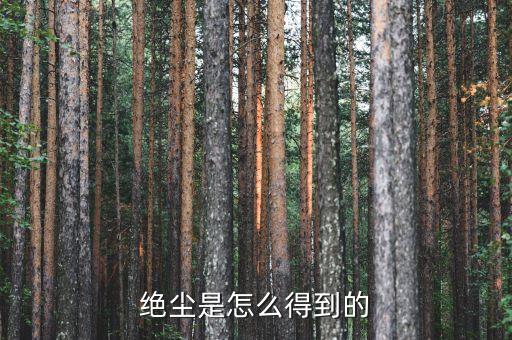 為什么絕塵貴，怎么弄到絕塵