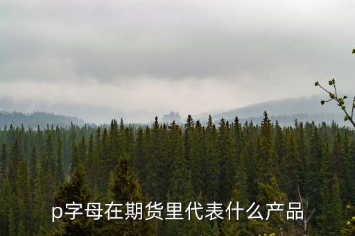 pp是什么期貨，聚丙烯期貨是什么