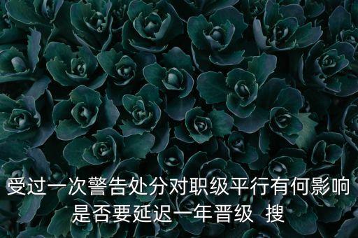 銀行警告處分有什么影響，受過一次警告處分對職級平行有何影響是否要延遲一年晉級  搜