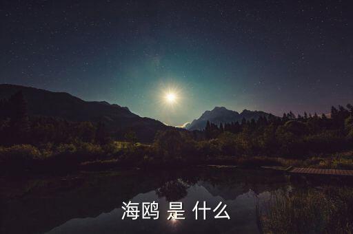 海鷗和石墨是什么關(guān)系，MAURICE BLUM品牌和海鷗有什么關(guān)系