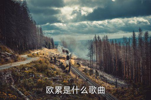 歐累歐累歐累是什么dj，溜冰場(chǎng)歐累歐累歐累是什么歌