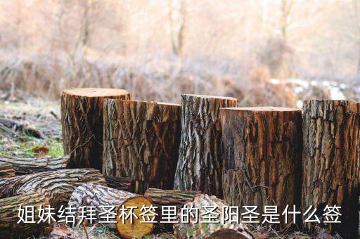圣陽圣屬什么簽，天災(zāi)禍不除我去拜佛了請問下這只簽是什么意思啊好