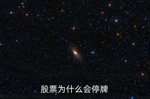 002163為什么停牌，股票為什么會停牌