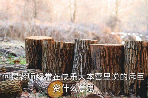 赤巨資是什么意思，赤巨資是什么意思能解釋一下嗎