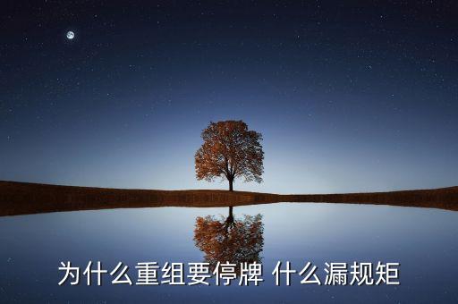 為什么湘潭電化重組暫停，湘潭電化股票停牌是什么意思