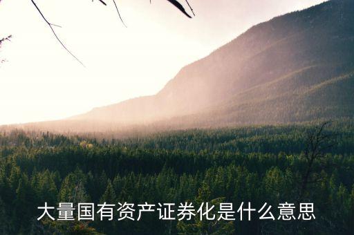 什么是國資證券化率，資產(chǎn)證券化率的公式