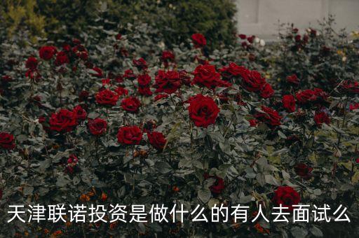 天河聯(lián)盟投資是什么，廣州理財公司是真的