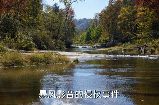 暴風(fēng)科技什么期間被查的，暴風(fēng)科技什么時(shí)侯開(kāi)始停牌的