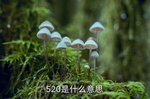 什么是1浪5，江恩數(shù)浪法則如何劃分五浪