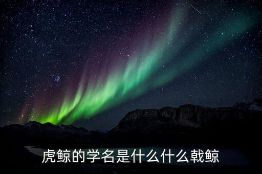 折戟鯨是什么，虎鯨的學(xué)名是什么什么戟鯨