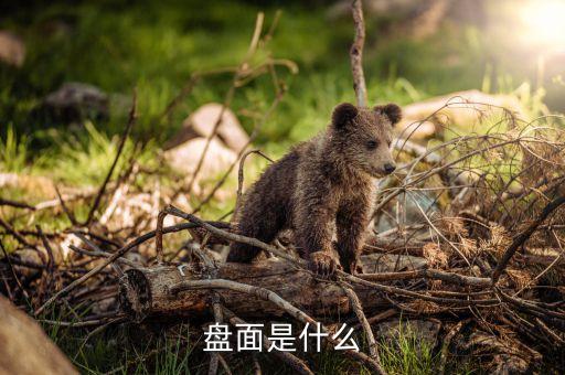 什么是盤面壓榨利潤(rùn)，什么叫物理壓榨