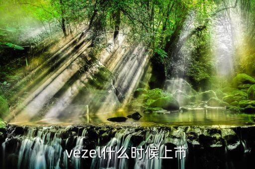 維珍妮集團什么時候上市，vezel什么時候上市