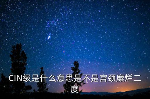 海泰宮靖是什么級別，CIN級是什么意思是不是宮頸糜爛二度