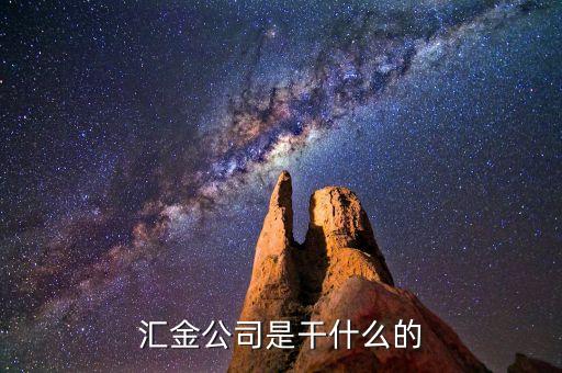 深圳惠程為什么匯金進(jìn)駐，匯金公司是怎么回事