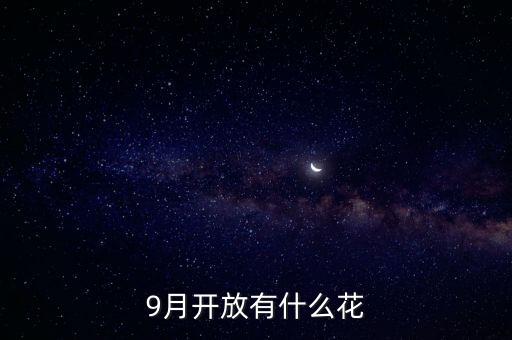 九月什么花經(jīng)路放，9月開(kāi)放有什么花