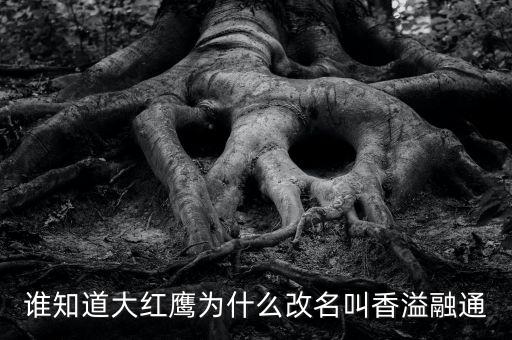 為什么買香溢融通，買當(dāng)代歌壇看到一個(gè)被稱為實(shí)偶派的歌手 饒威求科普