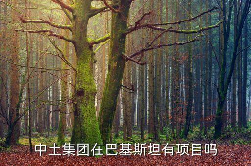 中土公司在吉布提什么工程，中建港務(wù)建設(shè)有限公司是不是接了吉布提的工程