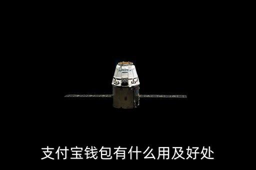 支付寶錢(qián)包都能干什么，支付寶錢(qián)包是做什么的