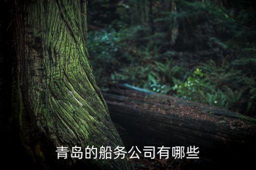 青島有個什么船運走私，青島的船務(wù)公司有哪些
