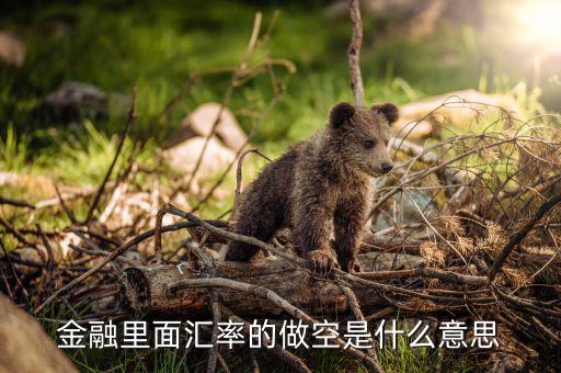 金融做空是什么意思，金融做空是什么意思