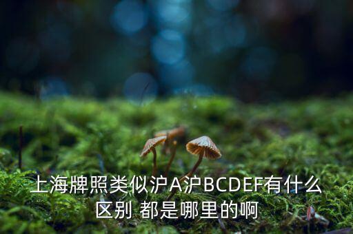 上海市政府牌照是滬什么，上海的車牌是滬還是浦