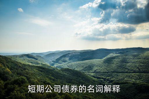 什么叫銀行短期債券，我國銀行的短期借入債市場是什么呢謝謝回答