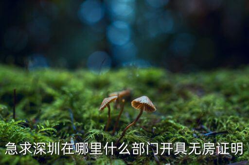 坪山國土局在什么地方，深圳哪座山比較有趣