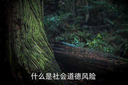 什么是社會風(fēng)險(xiǎn)，什么是社會道德風(fēng)險(xiǎn)