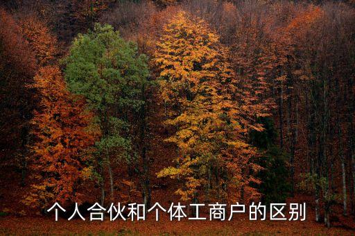 個(gè)人合伙領(lǐng)取什么經(jīng)營(yíng)執(zhí)照，個(gè)人合伙辦理個(gè)體工商戶執(zhí)照