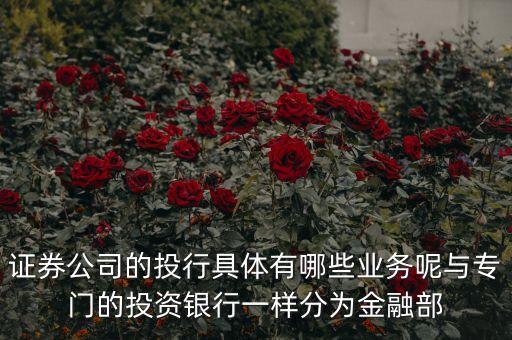 國內(nèi)券商投行部在做什么，國有四大行的投行部在做什么